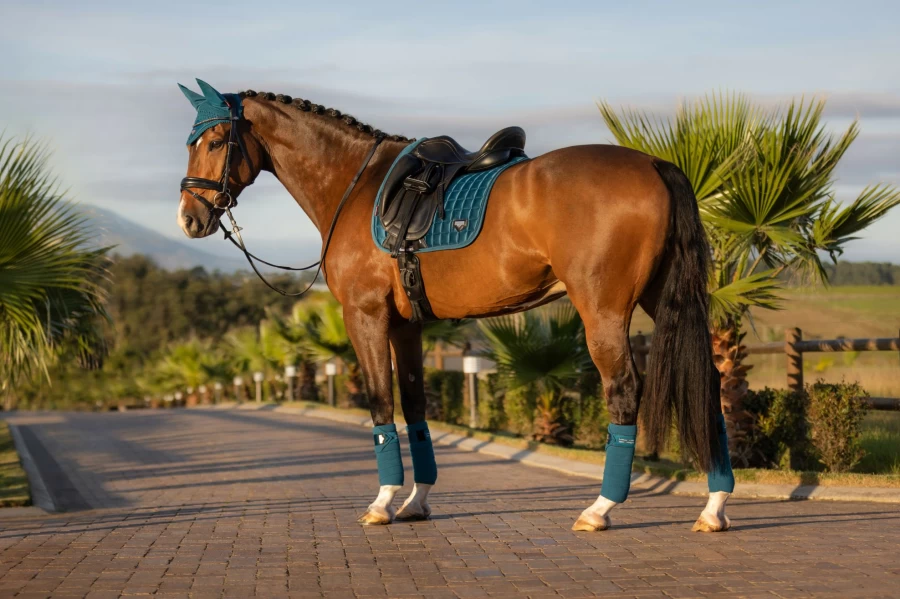 LeMieux Loire Polo Bandages - Marine Blue Horse Wraps for Support & Protection