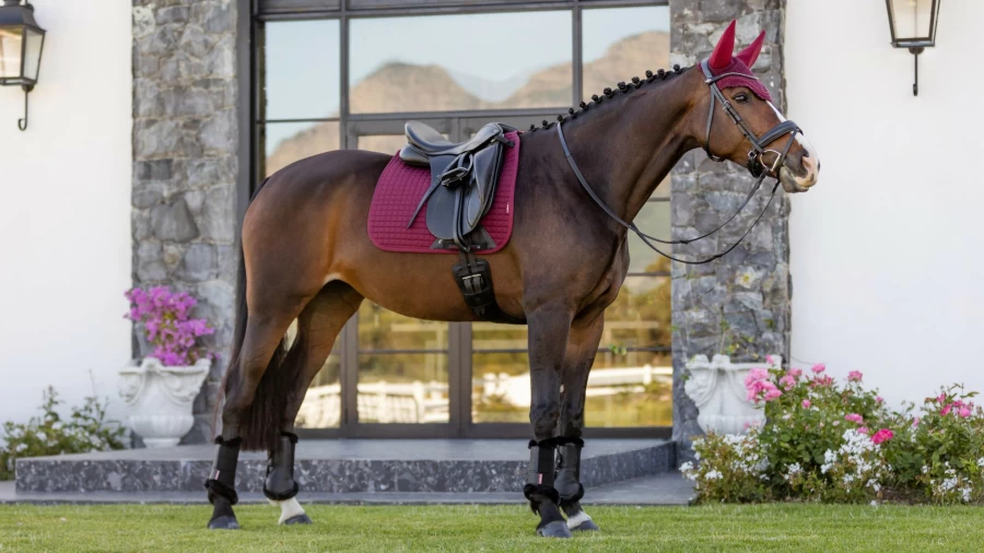 LeMieux Burgundy Cotton Dressage Square Equestrian Saddle Pad