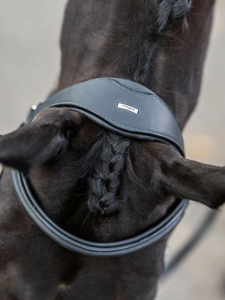 LeMieux Kudos Work Bridle - Premium Black Equestrian Bridle for Dressage & Training