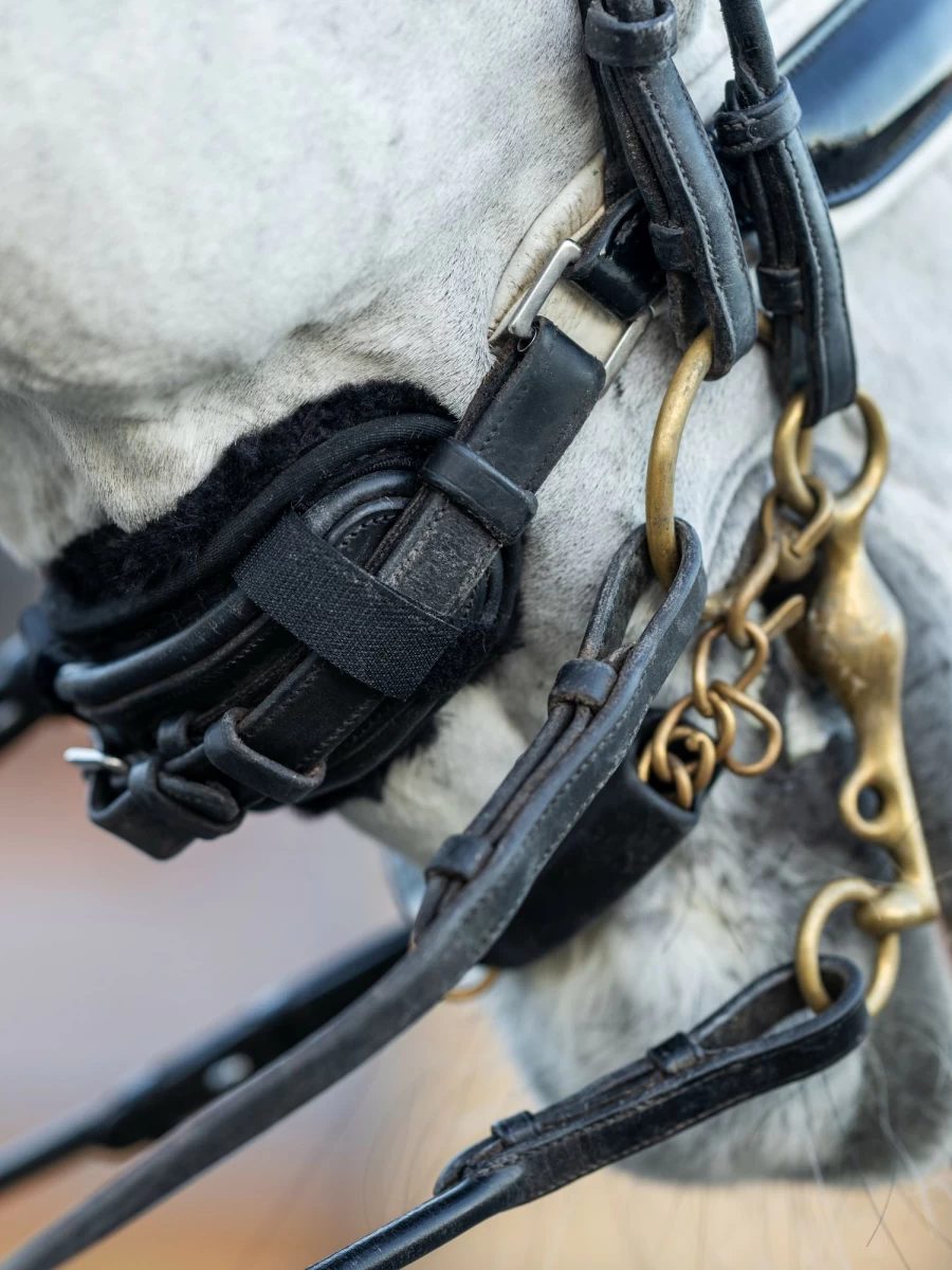 LeMieux Simuwool Chin/Noseband Guard - Breathable Black Horse Accessory, One Size Fits All