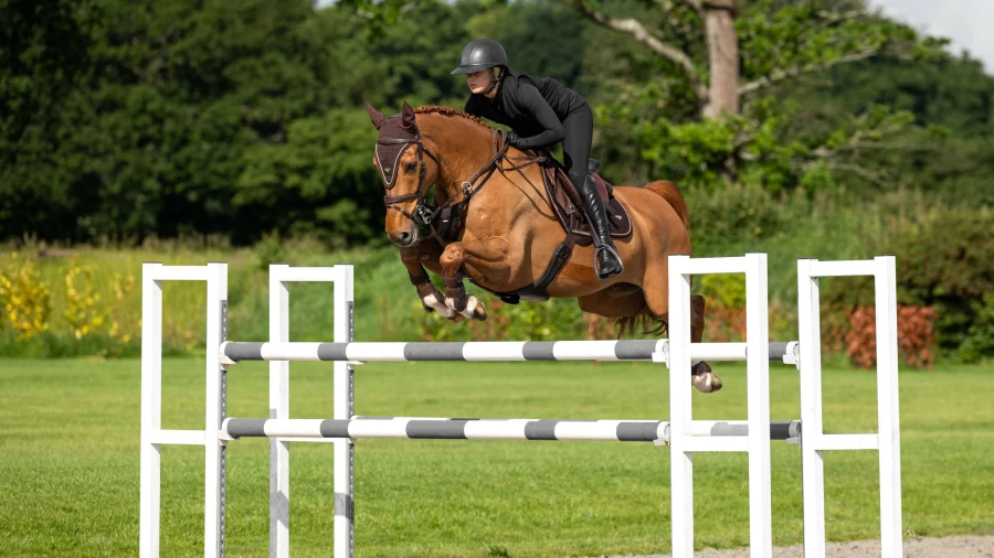LeMieux Puissance Suede Close Contact Brown Square Saddle