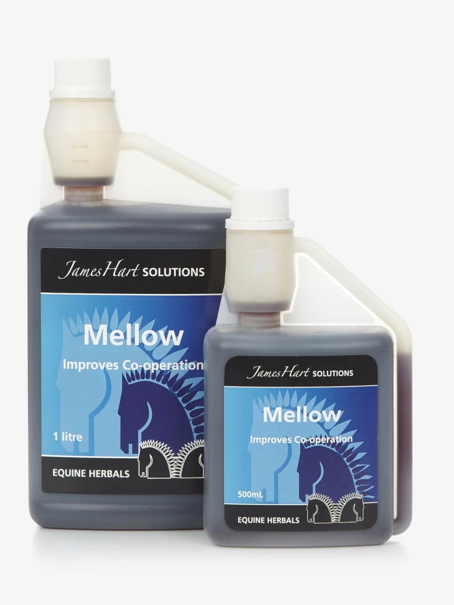 LeMieux Mellow - Premium Comfort Wear for Relaxation & Style