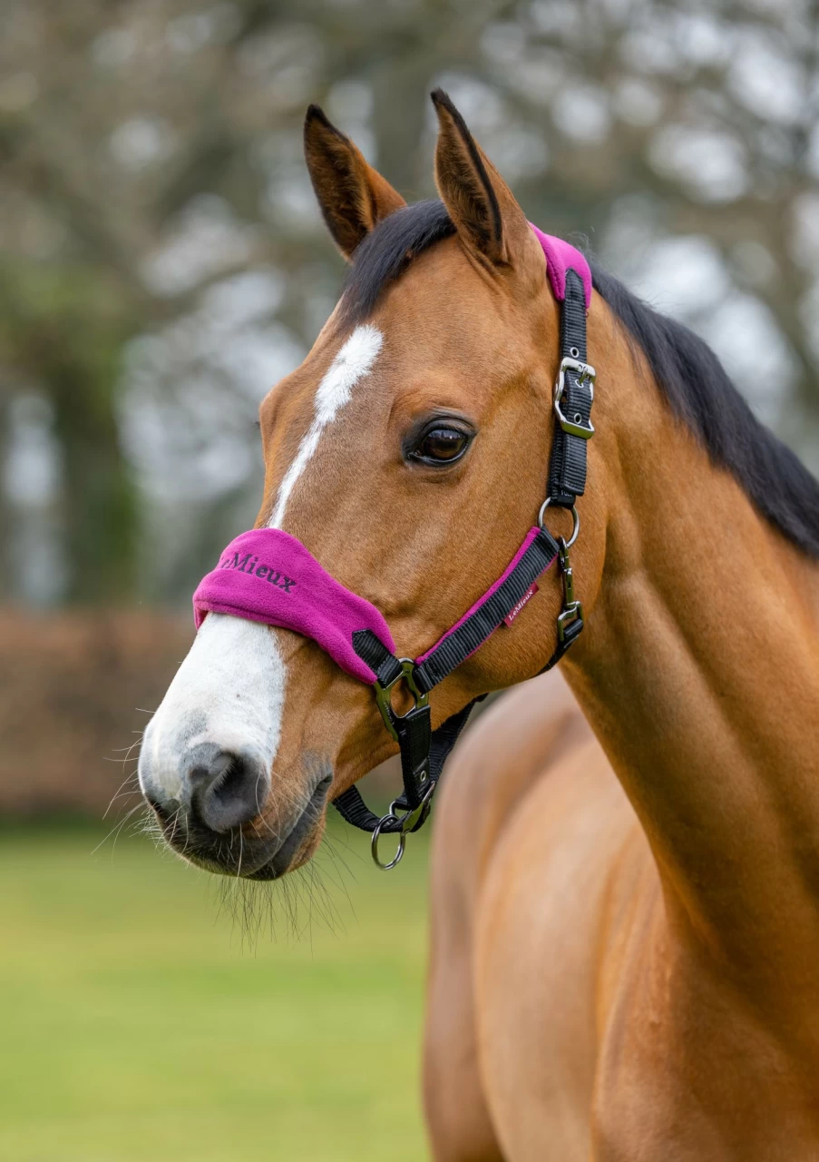 LeMieux Vogue Plum Headcollar and Lead Rope Set for Horses