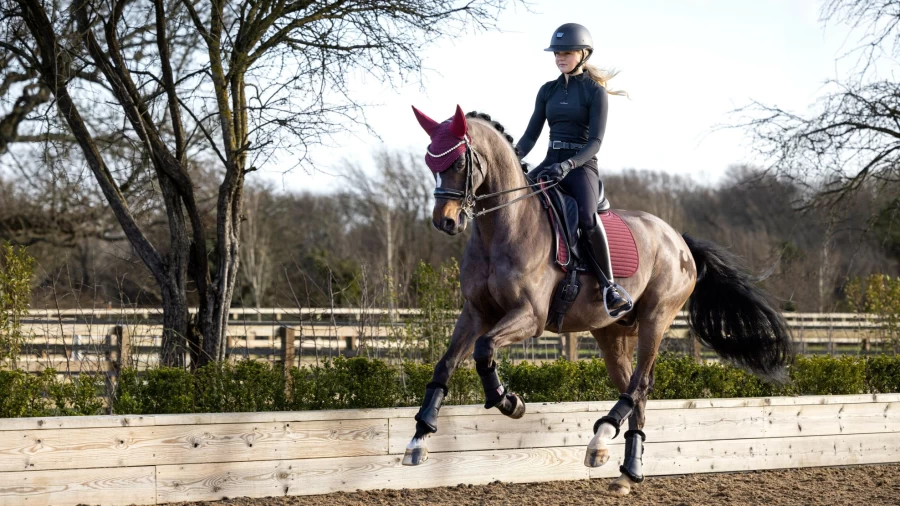 LeMieux Burgundy Soft Shell Anti-Slip Dressage Square Saddle Pad