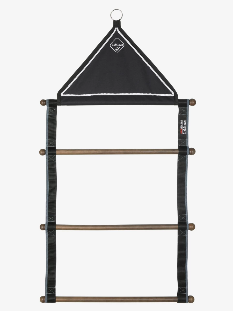 LeMieux Black Wall-Mounted Hanging Rack for Rugs - One Size, Durable Storage Solution