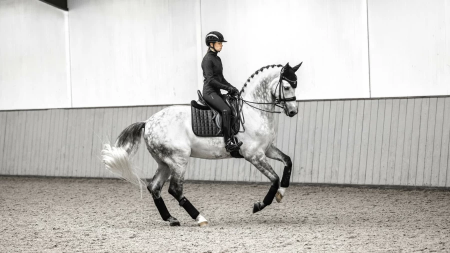 LeMieux Loire Classic Black Dressage Square Equestrian Saddle Pad