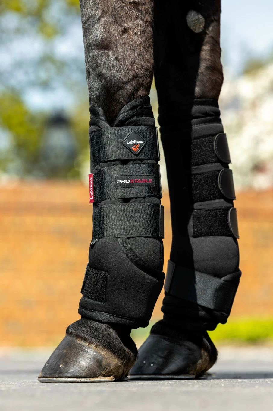 LeMieux Stable Boots for Horses - Durable Black Equestrian Riding Boots