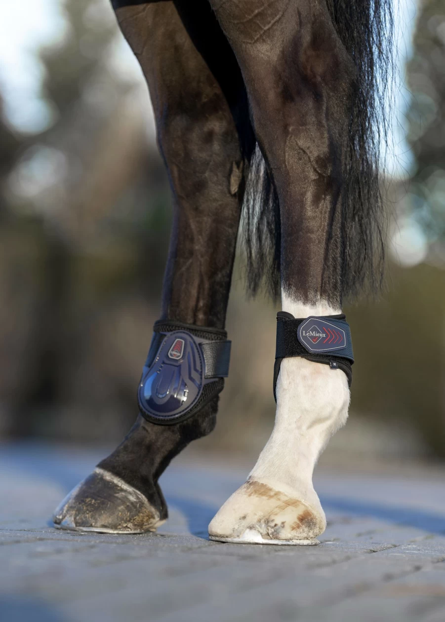 LeMieux Derby Pro Jump Fetlock Boots for Horses - Navy Blue Protective Horse Boots