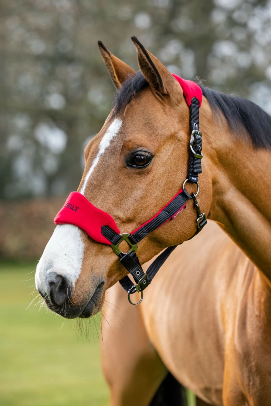 LeMieux Vogue Equine Headcollar and Lead Rope Set - Chilli Red Horse Training Gear