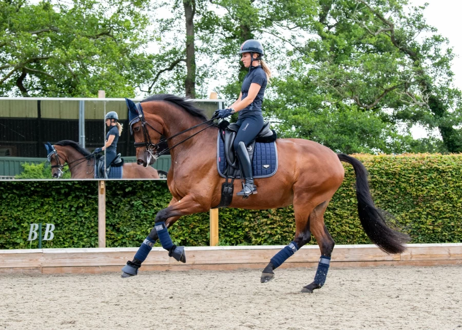 LeMieux Loire Classic Dressage Square Equestrian Riding Coat in Twilight Navy for Women