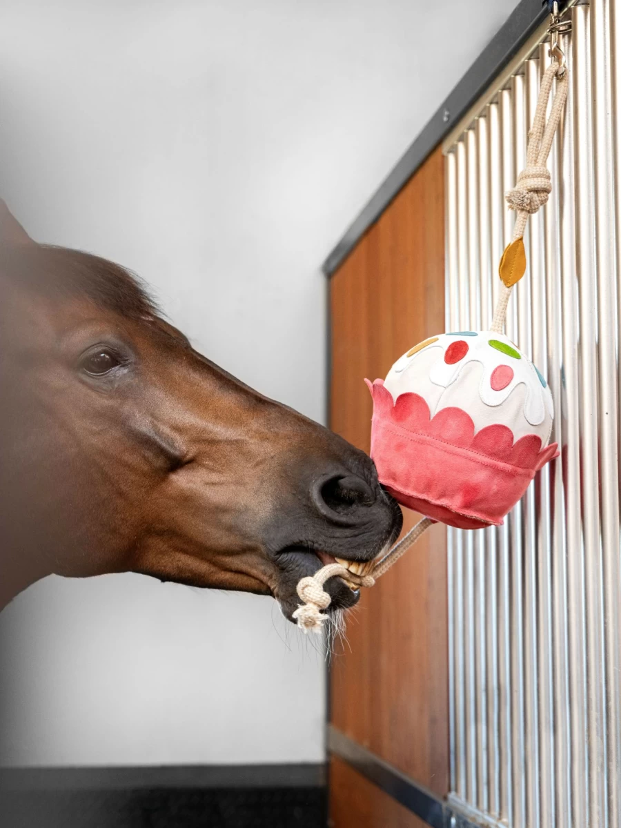 LeMieux Horse Toy Cupcake - Fun & Durable Equine Play Treat, One Size