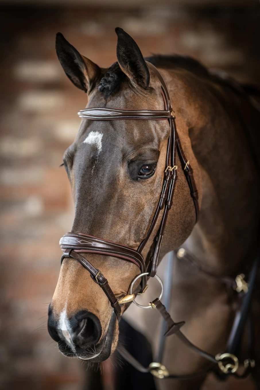 LeMieux Havana Flash Bridle by Kudos Competition – Premium Equestrian Bridle