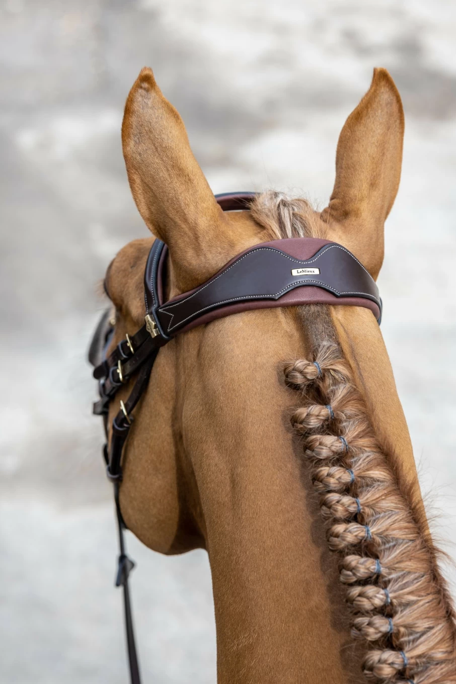 LeMieux Havana Flash Bridle by Kudos Competition – Premium Equestrian Bridle