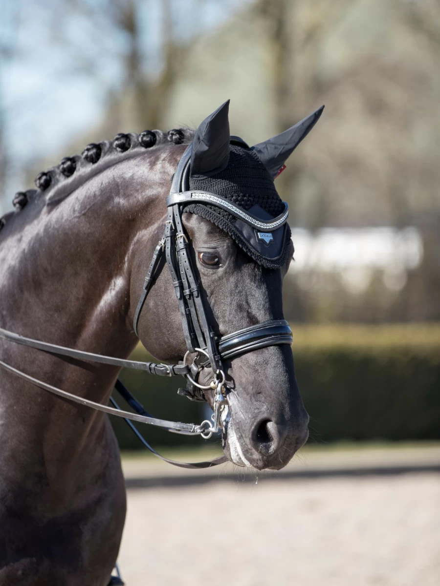 LeMieux Loire Fly Hood - Black Horse Fly Mask with UV Protection