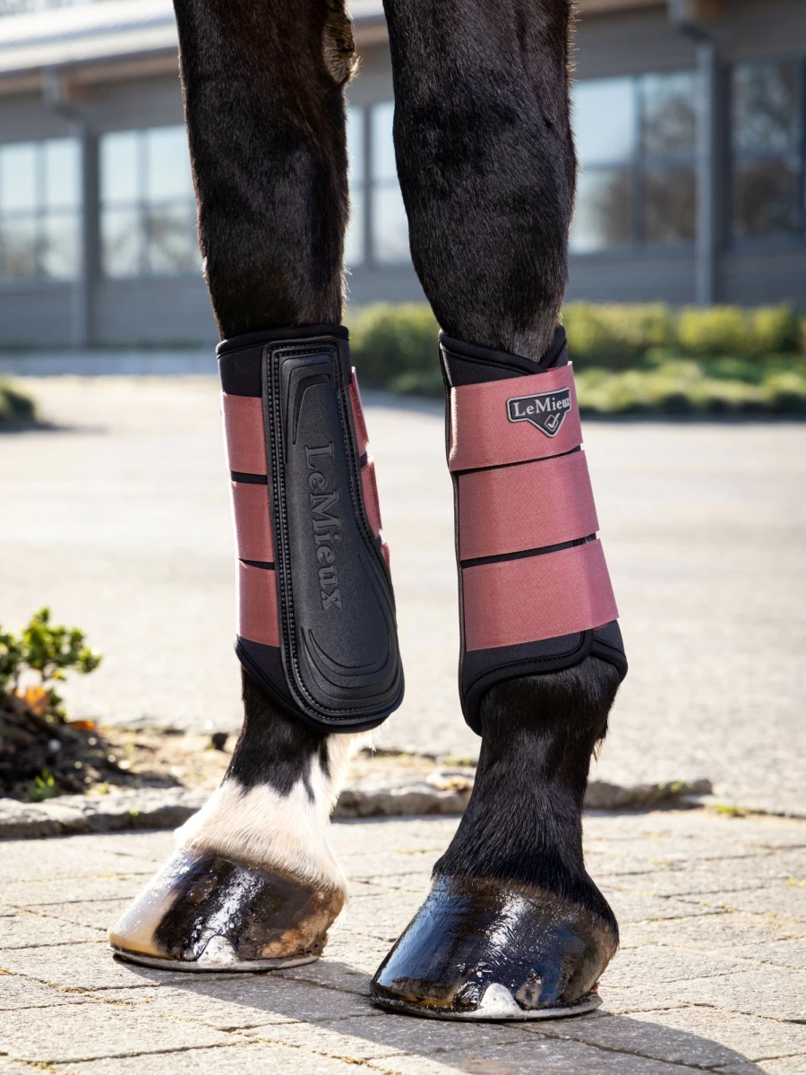 LeMieux Grafter Brushing Boot Orchid - Equine Horse Leg Protection for Training & Show
