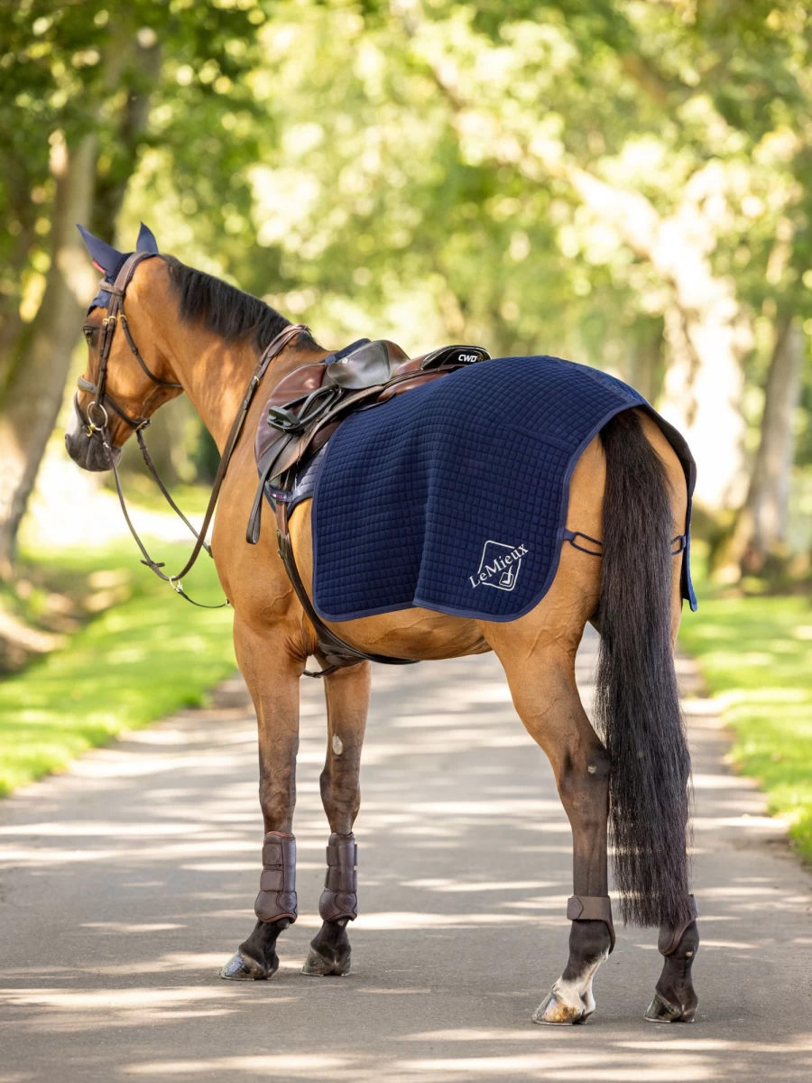 LeMieux Arika Waterproof Navy Quarter Horse Riding Sheet