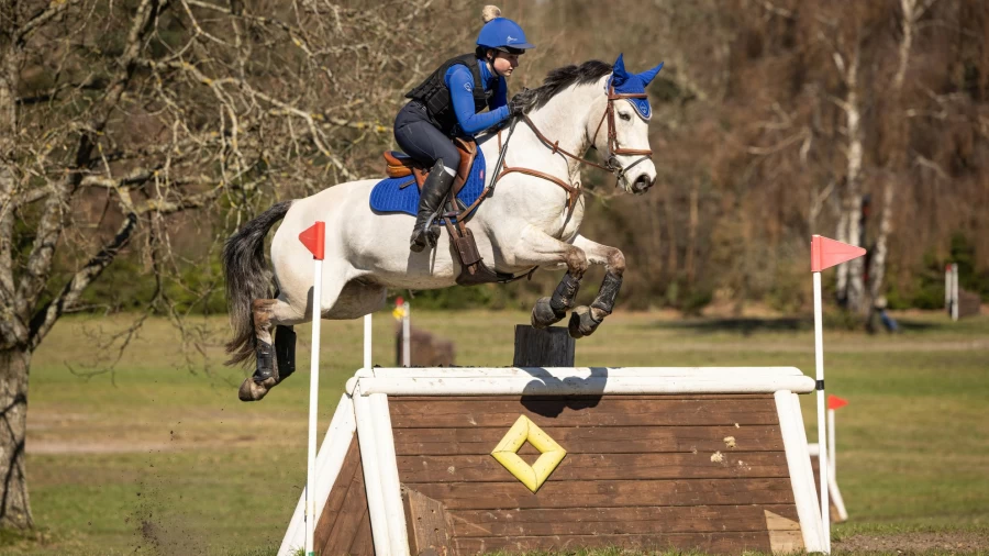 LeMieux Blue Cotton Square GP Saddle Pad