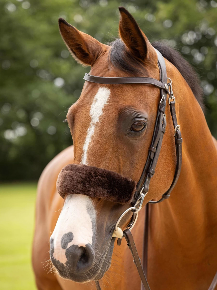 LeMieux Simuwool Noseband Cover - Brown, One Size, Horse Riding Accessory