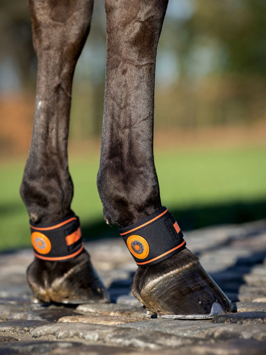 LeMieux Magno Black Pastern Wrap Horse Boots One Size for Support & Protection
