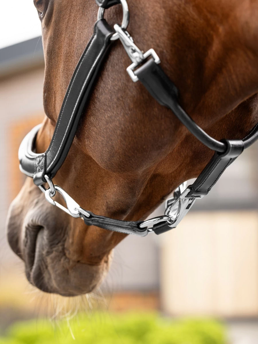 LeMieux Black Leather Grooming Headcollar for Horses – Premium Quality & Comfort