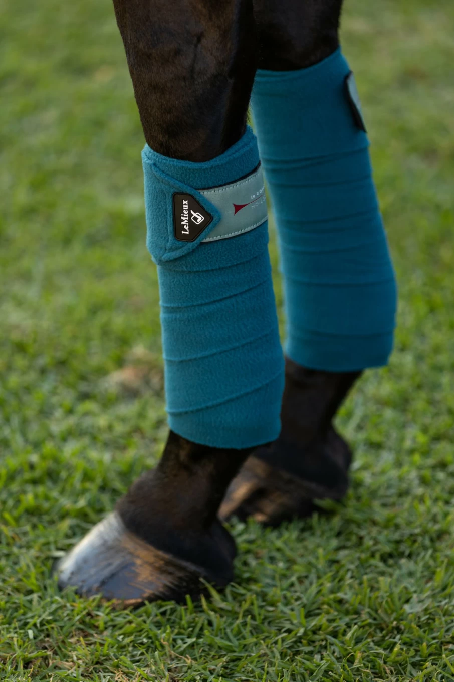 LeMieux Classic Marine Blue Polo Bandages for Horses