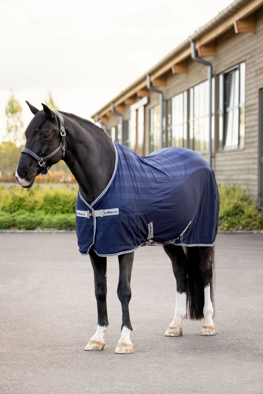 LeMieux Arika Air-Tek Breathable Performance Sheet Navy – Lightweight Horse Riding Sheet