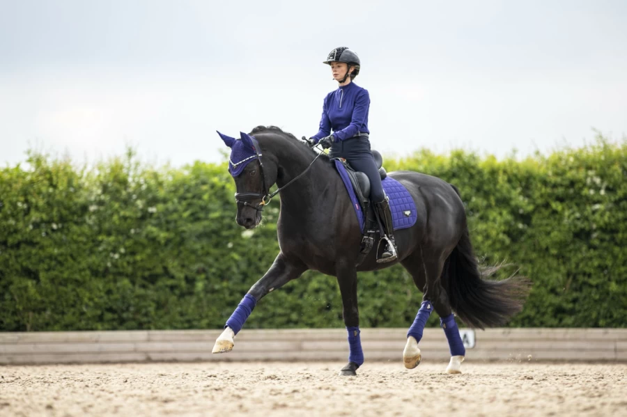 LeMieux Loire Classic Dressage Square Ink Blue Equestrian Riding Apparel