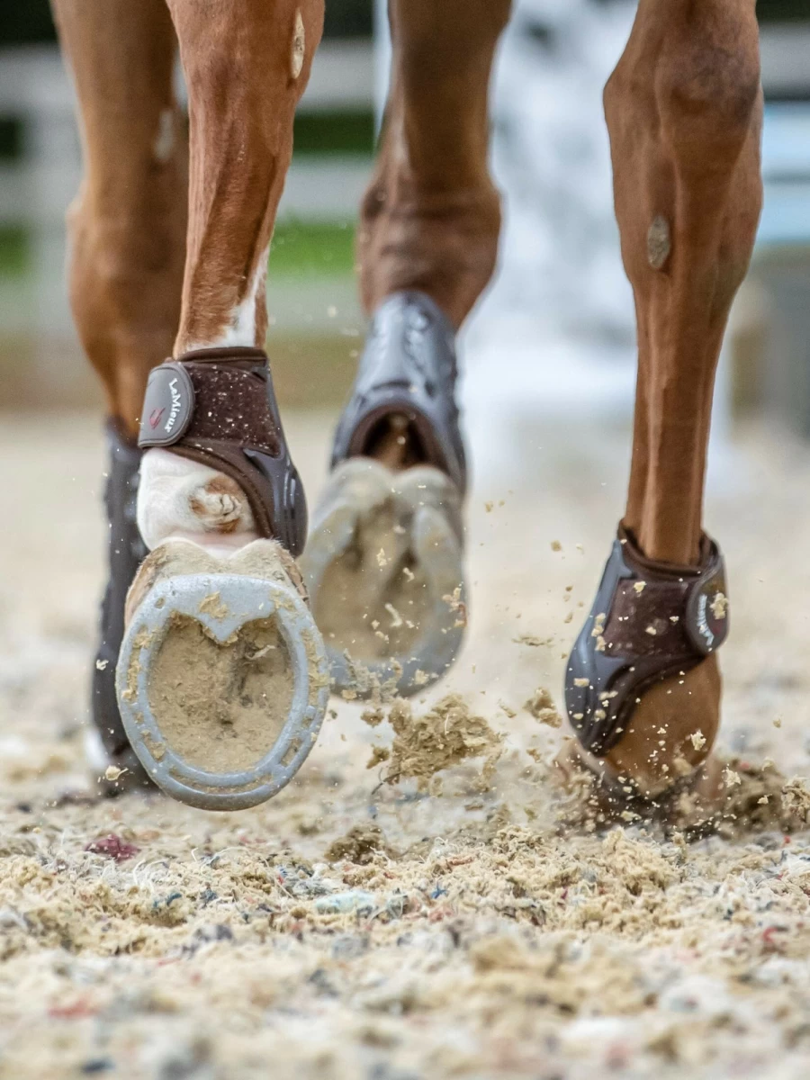 LeMieux Impact Compliant Fetlock Boots for Horses - Protective Brown Leg Wraps for Riding & Training