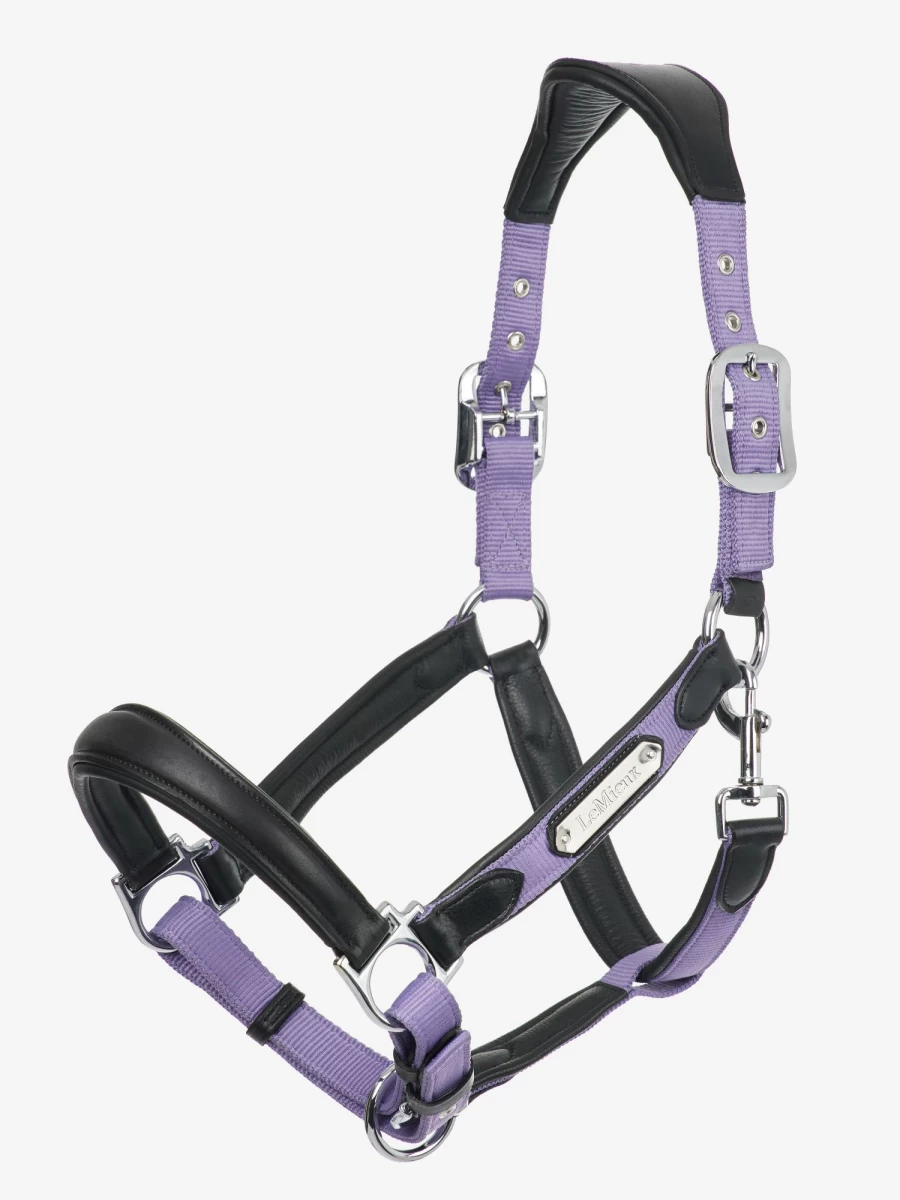 LeMieux Capella Headcollar with Iris Design – Premium Horse Headcollar for Comfort and Control