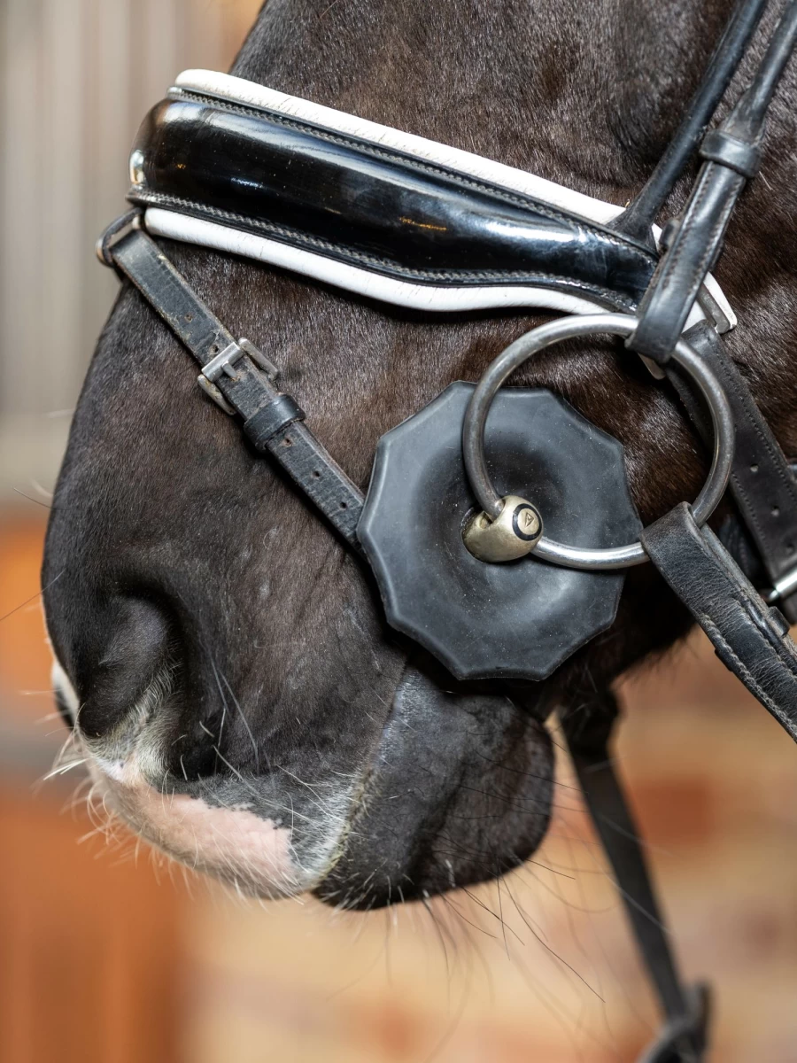 LeMieux Contoured Black Rubber Bit Guards - One Size Equestrian Bit Protection
