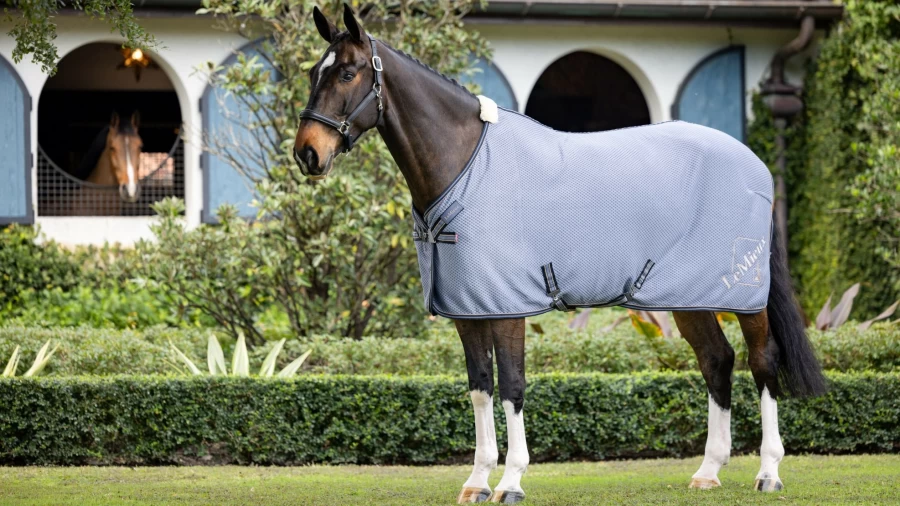 LeMieux Jay Blue Bamboo Cooling Performance Horse Cooler