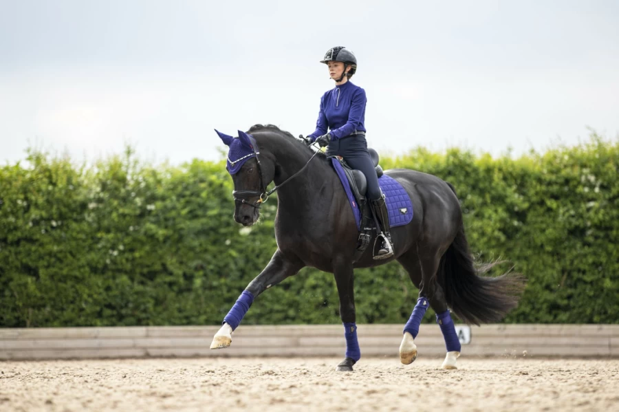 LeMieux Loire Memory Dressage Square Scarf in Ink Blue – Equestrian Riding Accessories