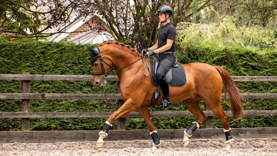 LeMieux Soft Shell Anti-Slip Dressage Saddle Pad Square Black Equestrian Riding