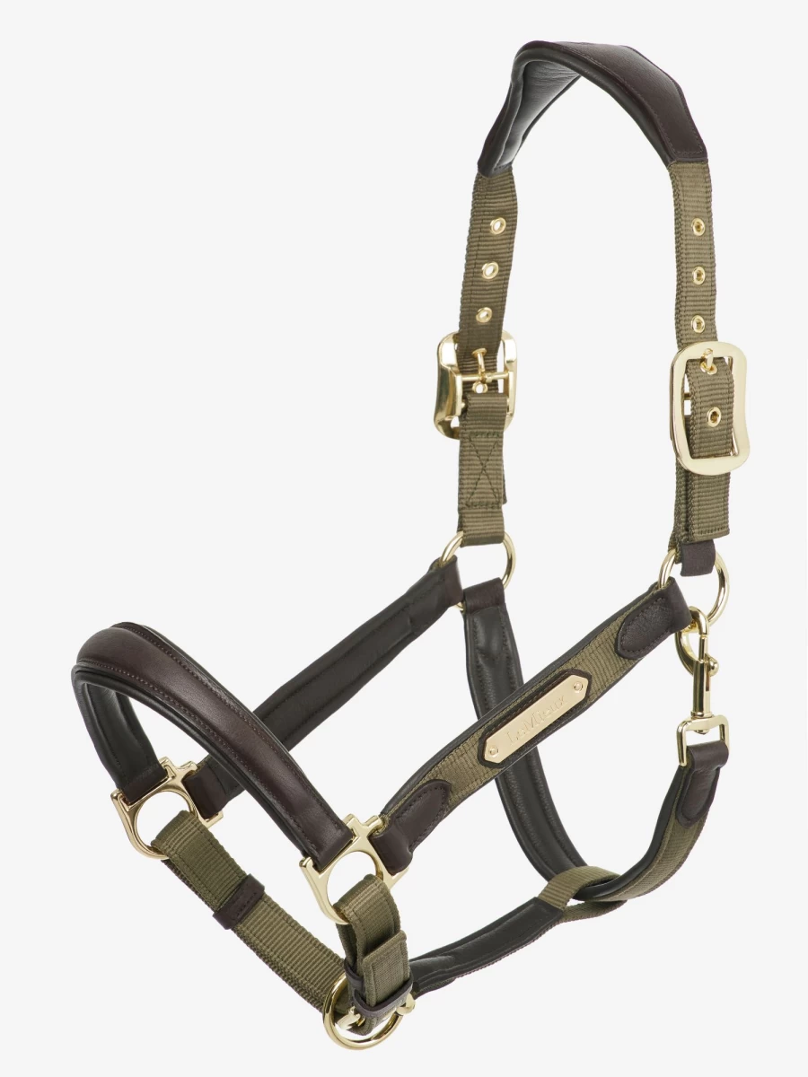 LeMieux Capella Headcollar - Comfortable & Adjustable Horse Headcollar for Equestrian Riding