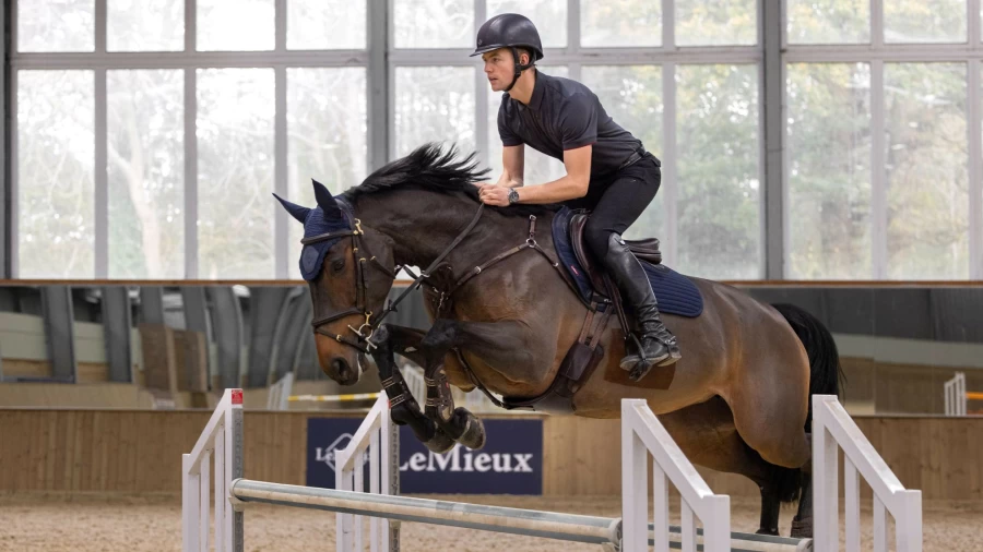 LeMieux Navy Eurojump Square Soft Shell Anti-Slip Horse Riding Mat