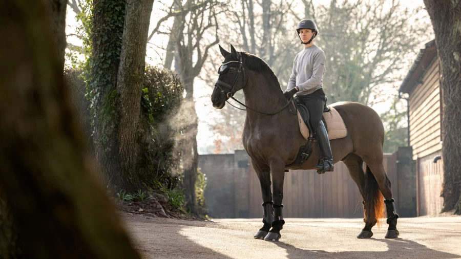 LeMieux Large Mink Dressage Work Pad for Horses – Premium Equestrian Saddle Pad
