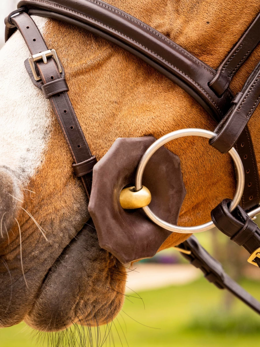 LeMieux Contoured Brown Rubber Bit Guards - One Size Equestrian Bit Protection