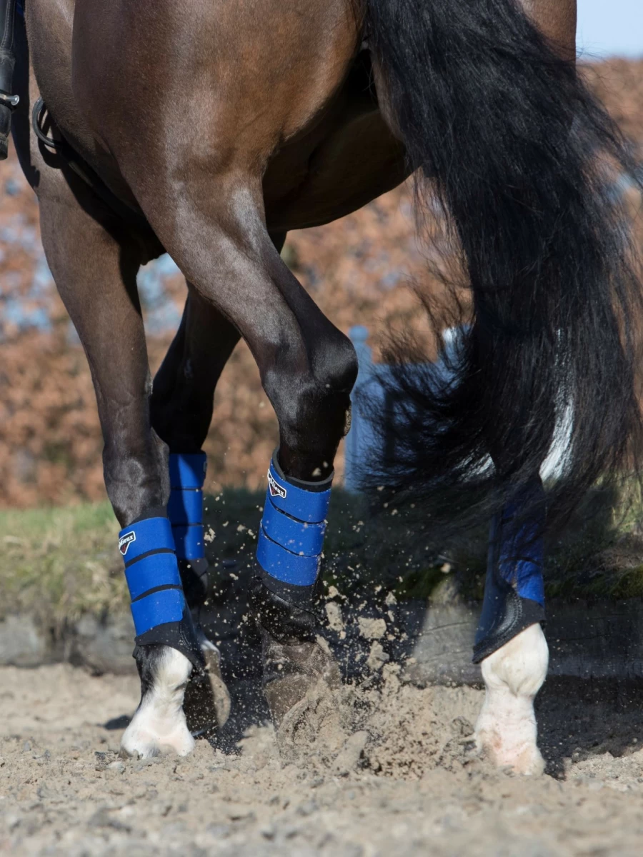 LeMieux Benetton Blue Brushing Boot for Horses – Durable & Protective Equine Wear