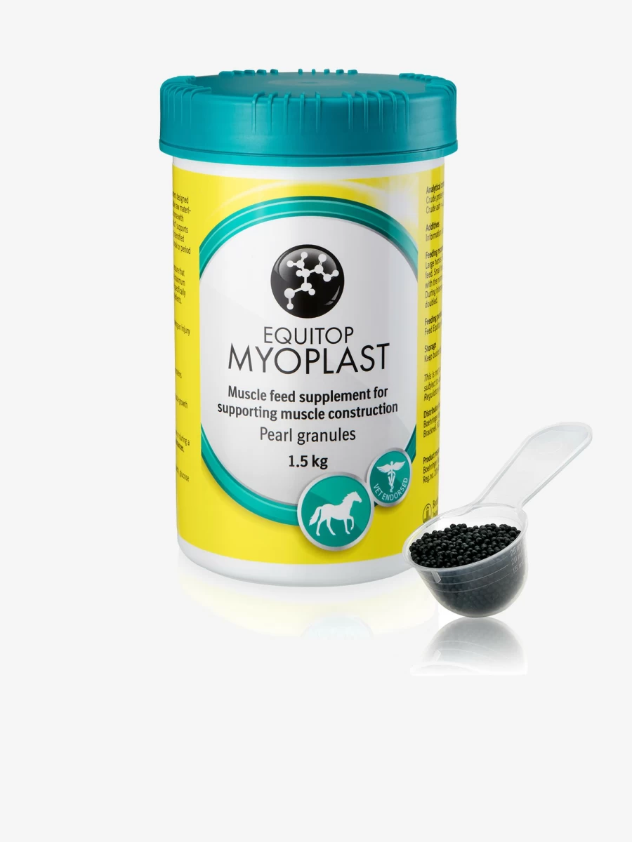 LeMieux Equitop Myoplast Horse Support Boots - One Size for Optimal Leg Protection