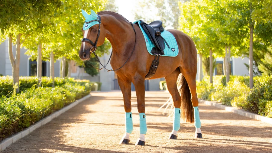 LeMieux Loire Azure Polo Bandages for Horses – Premium Equine Support