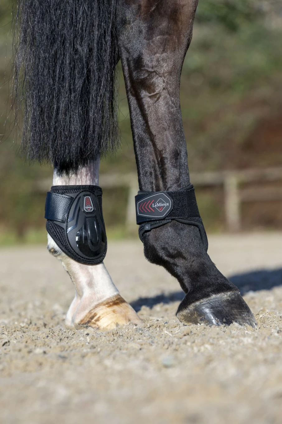 LeMieux Derby Pro Jump Fetlock Boots - Black Horse Riding Protective Gear