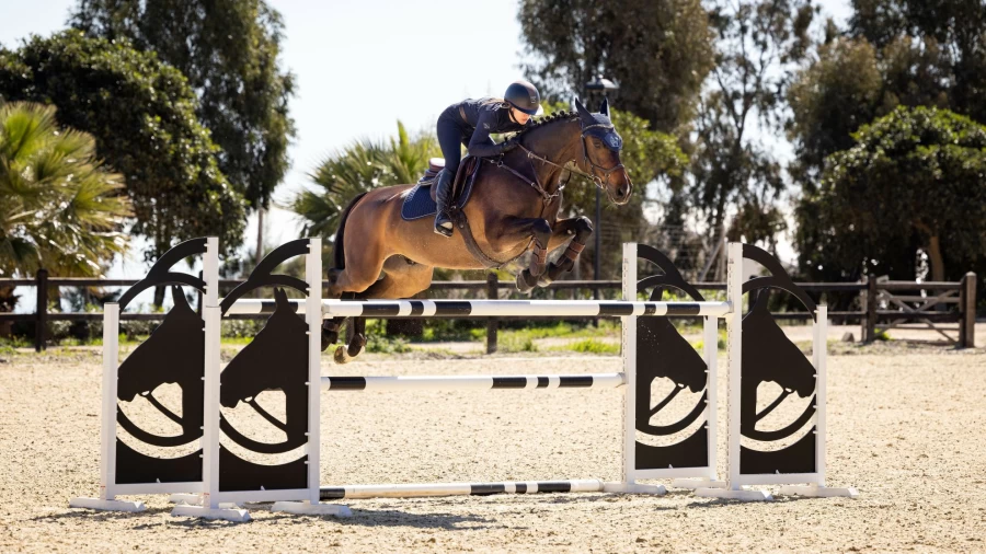 LeMieux Classic Navy Square Jump Horse Riding Equipment One Size