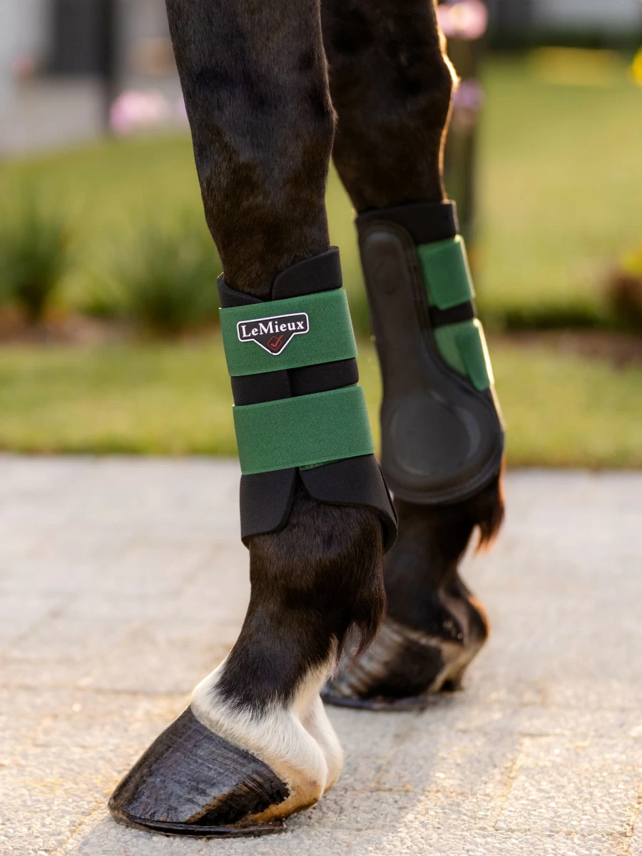 LeMieux Grafter Brushing Boots for Horses - Hunter Green Equine Leg Protection