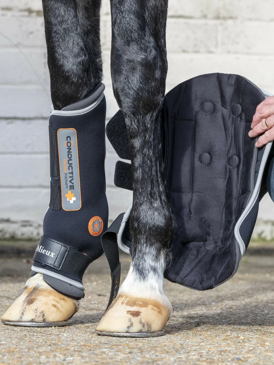 LeMieux Conductive Magnetic Therapy Boots for Horses – Enhance Circulation & Recovery