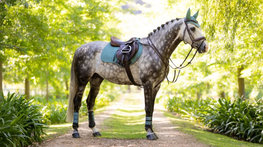 LeMieux Suede Square Close Contact Saddle - Premium Equestrian Riding Gear