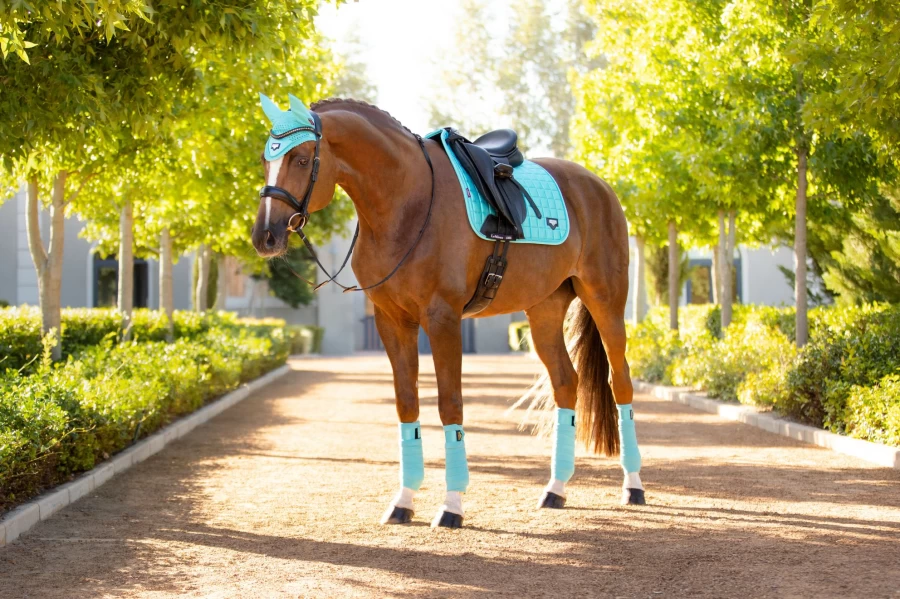 LeMieux Loire Classic Dressage Square Azure Equestrian Riding Wear