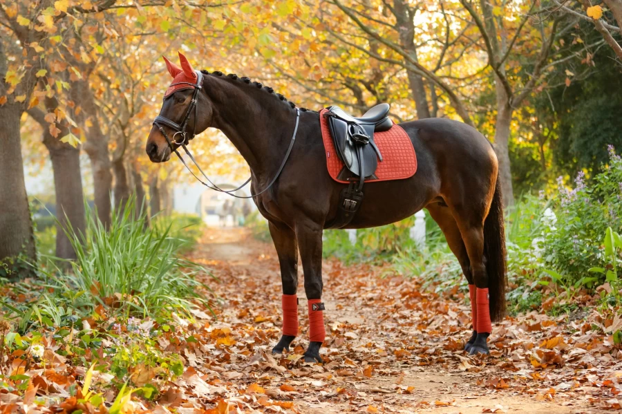 LeMieux Sienna Suede Dressage Square Saddle Pad for Horse Riding