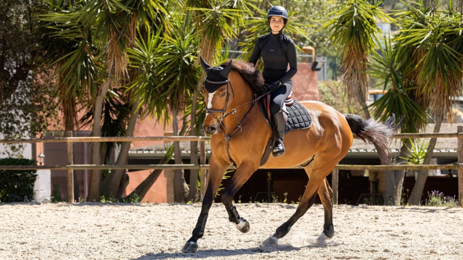 LeMieux Black Large Carbon Mesh Close Contact Square Horse Riding Saddle Pad